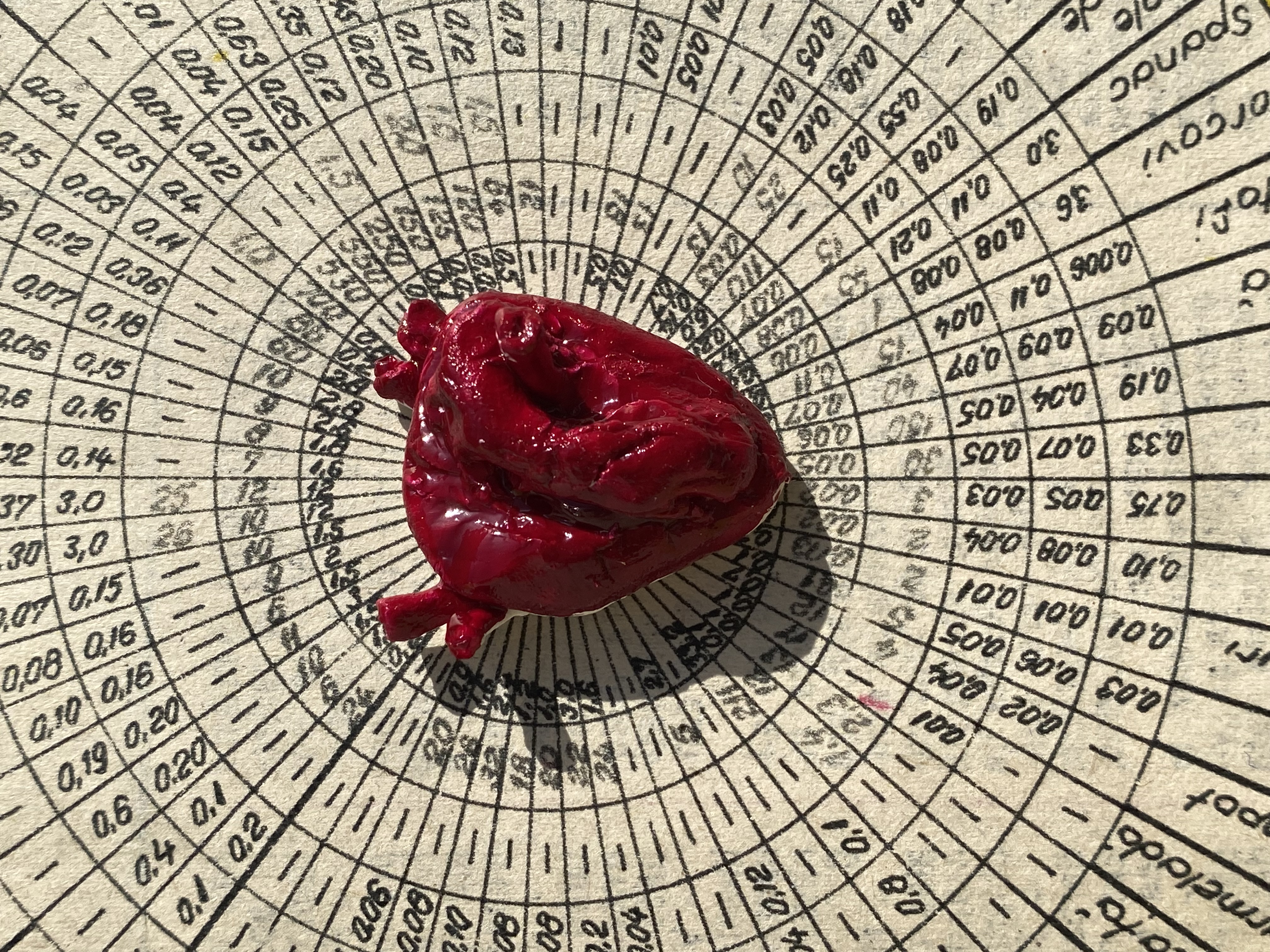 Bijuterii Inimi Anatomice - 5
